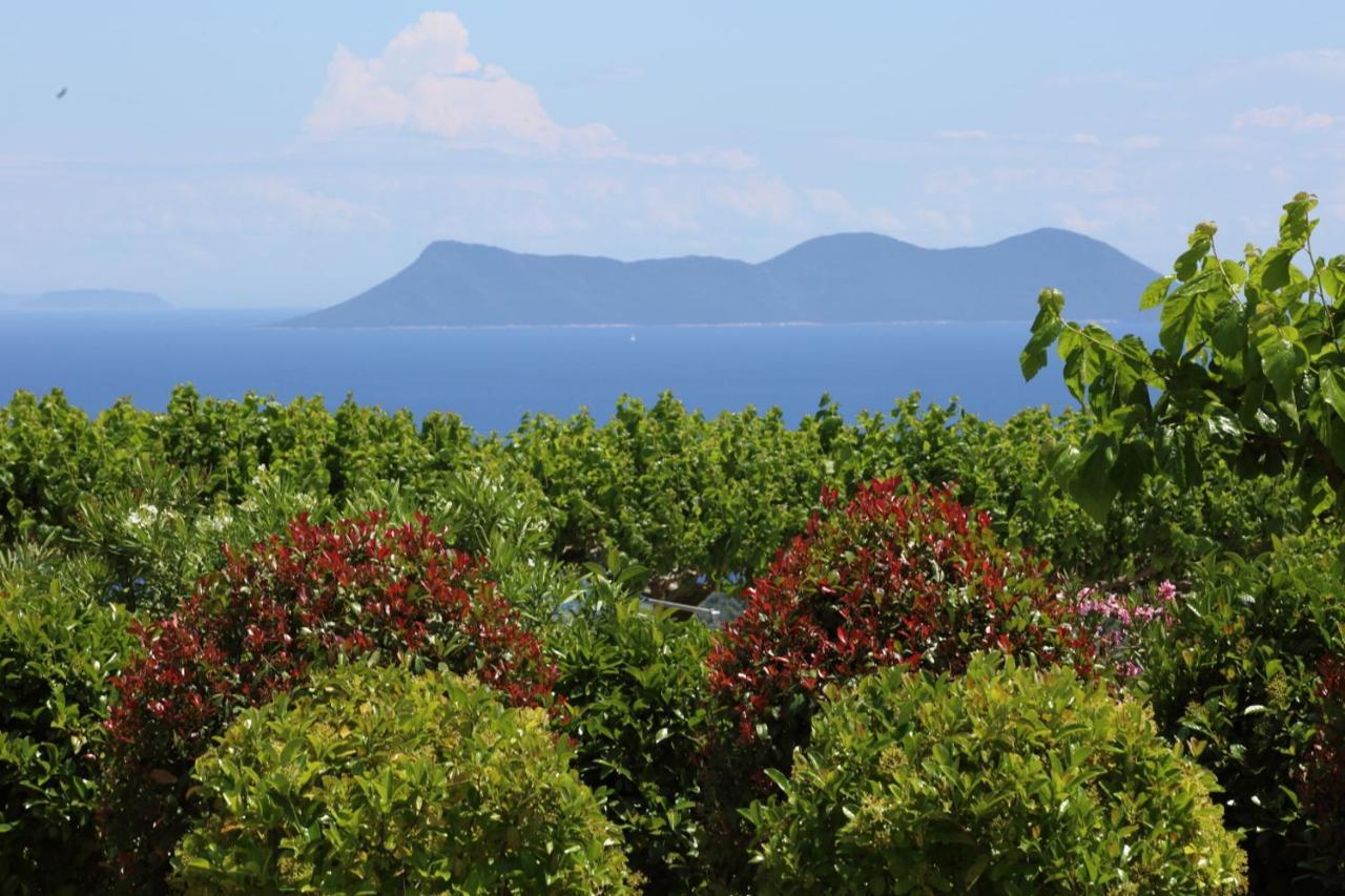 Pantheon & Danae Luxury Villas Szívota Kültér fotó